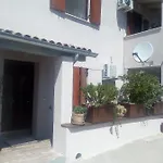 Fojba *